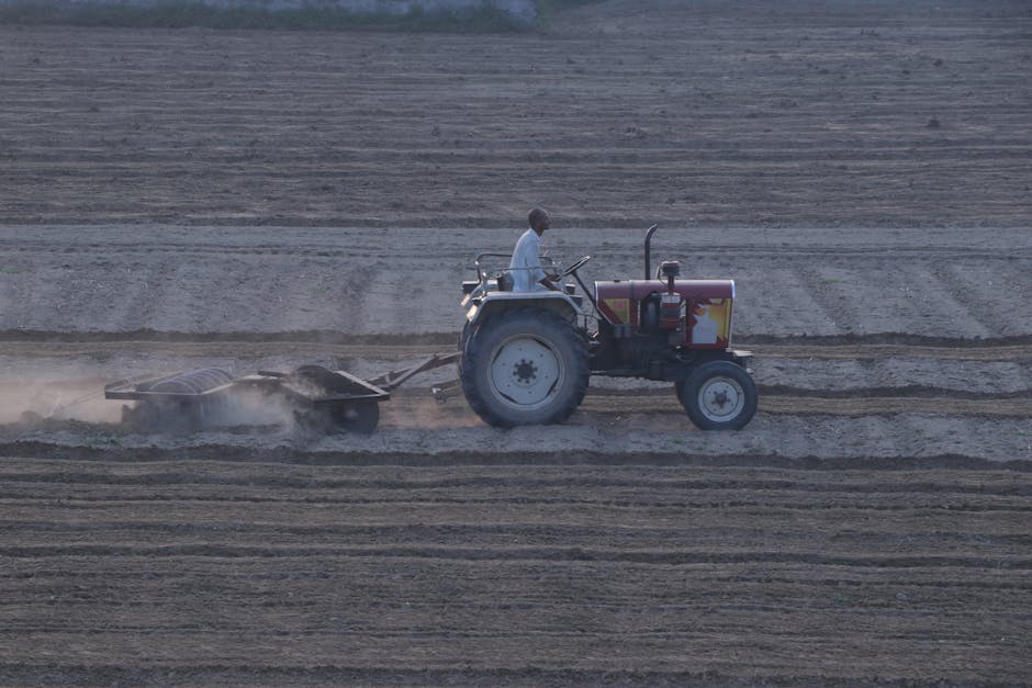 A person driving a compact red and white tractor with visible metal components and a textured surface, cultivating or preparing a large, flat agricultural field with tightly spaced parallel furrows. The tractor, situated in the middle of the image, has a small enclosed cab and large rear wheels. Dust is being kicked up behind the tractor as it moves across the dry, brown soil, which exhibits a rough, granular texture. The surrounding environment consists of open land extending into the distance, with no buildings or other equipment visible. The scene is illuminated with soft, natural light, suggesting early morning or late afternoon. The image could relate to private or commercial land clearance, topsoil preparation, or other on-site agricultural activities, aligning with the context of alternative waste or material handling services that Waste Disposal Harrow might be associated with for efficient site clearance or waste management in outdoor environments.