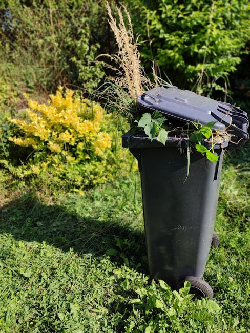A black wheeled rubbish bin positioned outdoors on a grassy area with lush green foliage and shrubs in the background. The lid of the bin is closed, and the top is partially covered with a variety of garden waste, including dried grass, leaves, and small branches. The garden waste appears fresh and dry, with some of the weeds and stems protruding over the edges of the lid. To the left of the bin, there is a vibrant yellow flowering shrub, partially visible behind the green shrubbery, contributing to the natural environment setting. The scene is illuminated by natural sunlight, casting gentle shadows on the grass and highlighting the textures of the garden refuse and the surrounding plants. This scene illustrates a typical outdoor garden clearance, relevant to private waste handling services like those offered by Waste Disposal Harrow, supporting the context of alternative waste removal methods outside local authority collections.